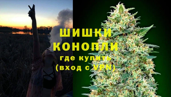 сатива Балахна