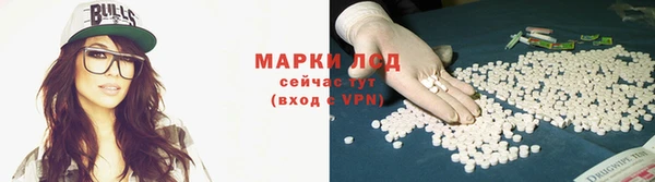 стаф Баксан