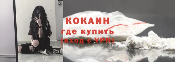 шишки Балабаново