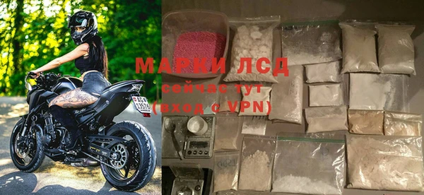 стаф Баксан