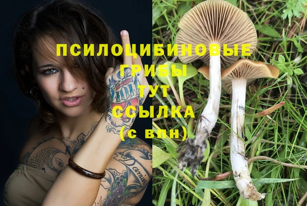 шишки Балабаново
