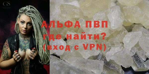 стаф Арсеньев