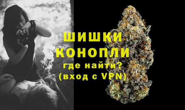 шишки Балабаново